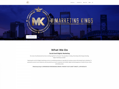 vimarketingkings.com snapshot