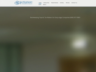 intelesoft.com snapshot