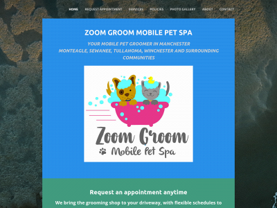 zoom-groom.com snapshot
