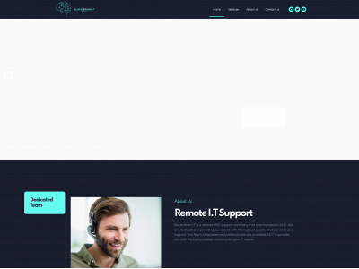 blackbrainit.co.uk snapshot