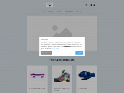 mr-patin.com snapshot