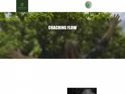 coachingflow.dk snapshot