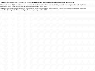 colflower.com snapshot