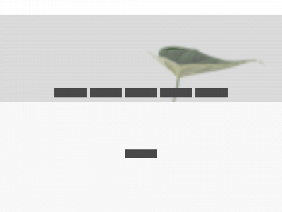 flowinside.be snapshot