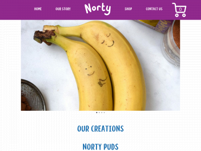 getnorty.com snapshot
