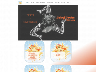 spiiza.com snapshot