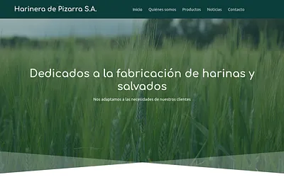 harineradepizarra.es snapshot