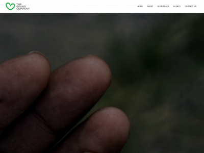 thegivingcompany.ca snapshot