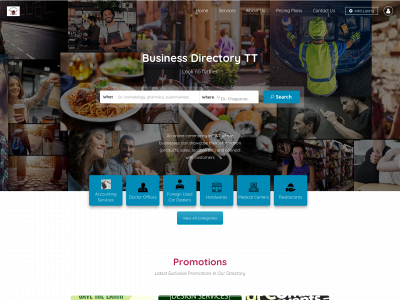 businessdirectorytt.com snapshot