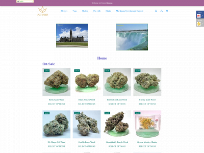 potweed.co snapshot