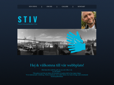 stiv.se snapshot