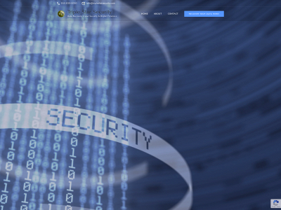 triplestarsecurity.com snapshot