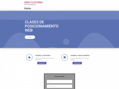 seekclothingg.com snapshot