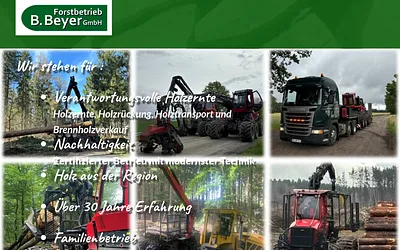 beyer-forst.de snapshot