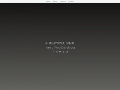 demiraysegul.co.uk snapshot