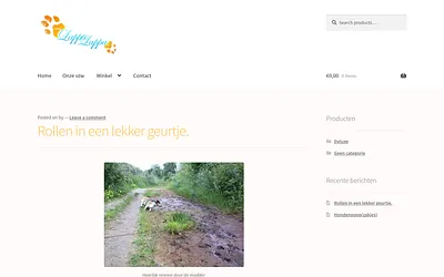 lappalappavzw.be snapshot