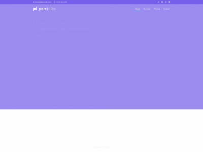 percilabs.com snapshot
