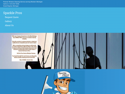 professionalsparkle.com snapshot