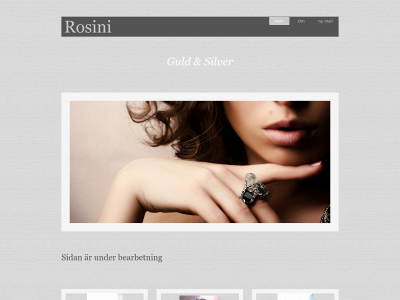 rosini.se snapshot
