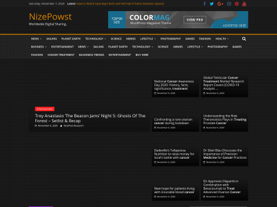 nizepowst.com snapshot