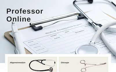 professoronline.de snapshot