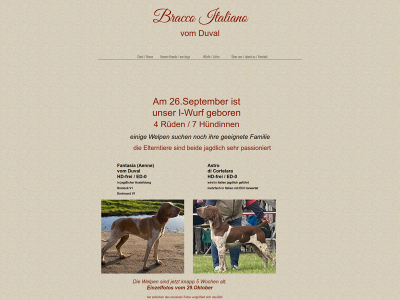 bracco-italiano-vom-duval.de snapshot