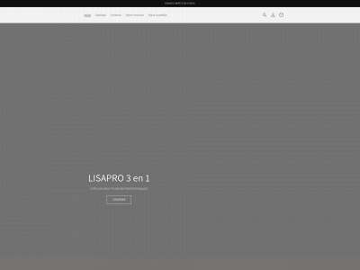 lisapro.es snapshot