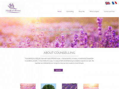 camilledebeausse.co.uk snapshot
