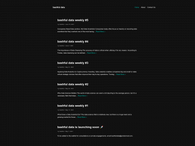 bashfuldata.com snapshot