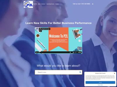 p2linc.com snapshot