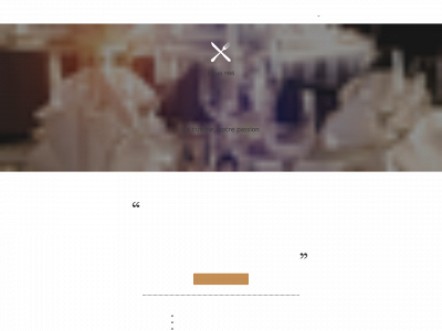 lesdamestartine.be snapshot