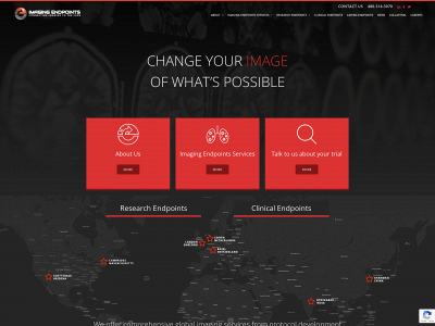 imagingendpoints.com snapshot