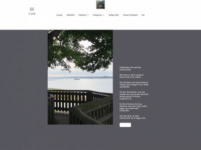 vandrevikingen.dk snapshot