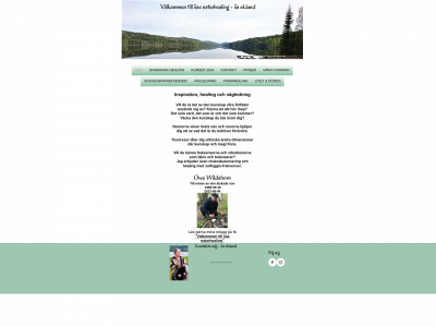 naturhealing.se snapshot