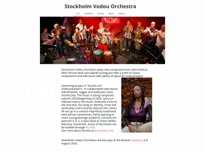 stockholmvodouorchestra.com snapshot