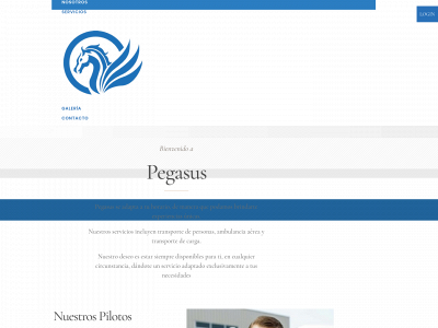 pegasus504.com snapshot