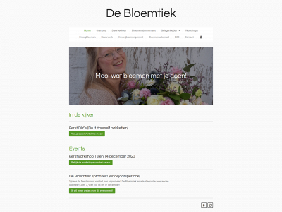 debloemtiek.be snapshot