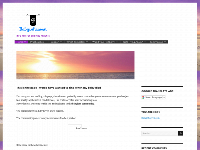 babyinheaven.com snapshot