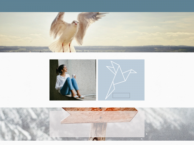 phoenix-coaching.be snapshot