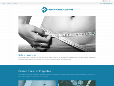 bravoinnovation.org snapshot