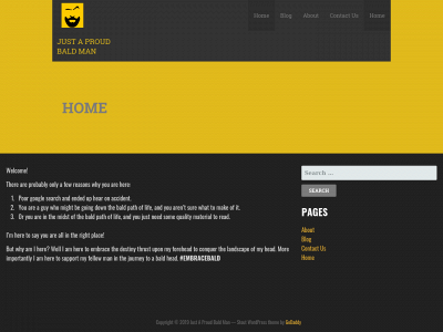 justaproudbaldman.com snapshot