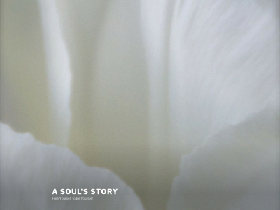 soulsstory.com snapshot