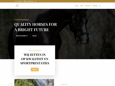 jtdressagehorses.com snapshot