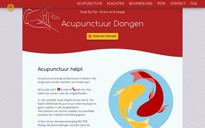 acupunctuurdongen.nl snapshot