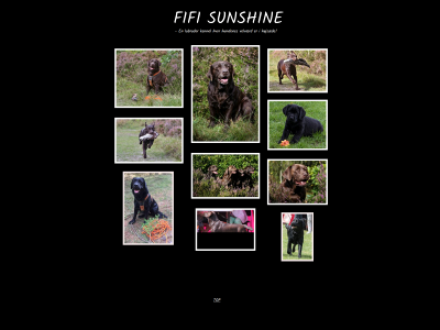 fifisunshine.dk snapshot