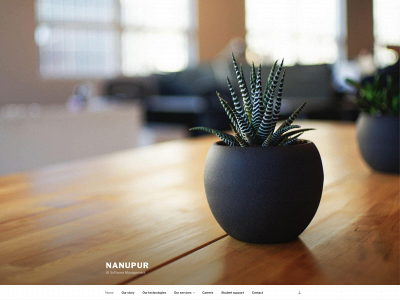nanupur.com snapshot