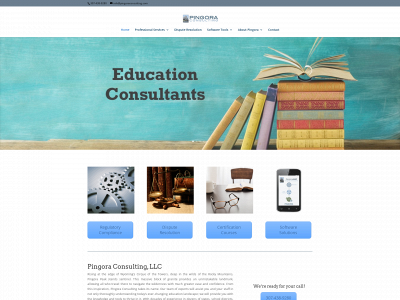 pingoraconsulting.com snapshot