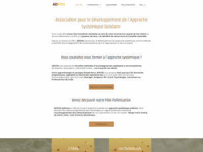 adsyss.fr snapshot