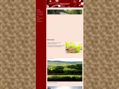 vakantiehuisjesindemorvan.com snapshot