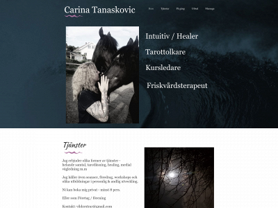 carinatanaskovic.se snapshot